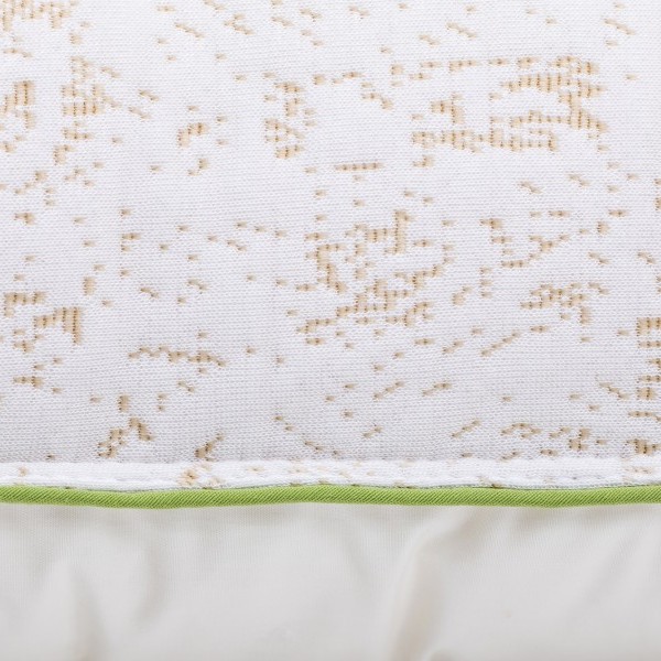 Bamboo 6